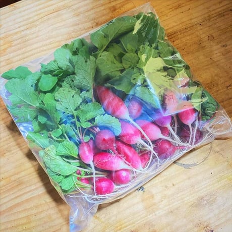 自然の恵みボックス Ｌ（季節の野菜おまかせセット）