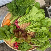 【店頭お渡し専用｜ご予約制】自然の恵みボックス L（季節の野菜おまかせセット）