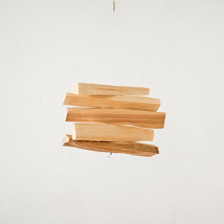 Hanging Wood B