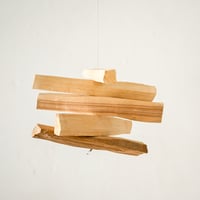 Hanging Wood B