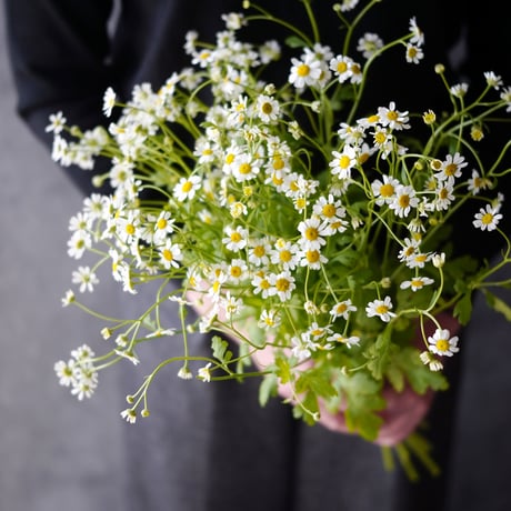 oder-made flower label momo