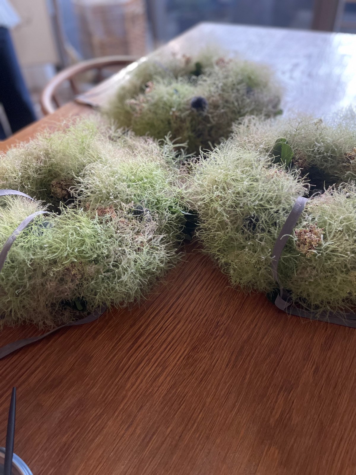 スモークツリー とドドナエアのシックなフライングリース　貝細工　スターチス スモークツリー 鳥の巣テイスト フライングリース 置き型リース