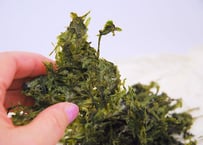 あぶり荒磯のり