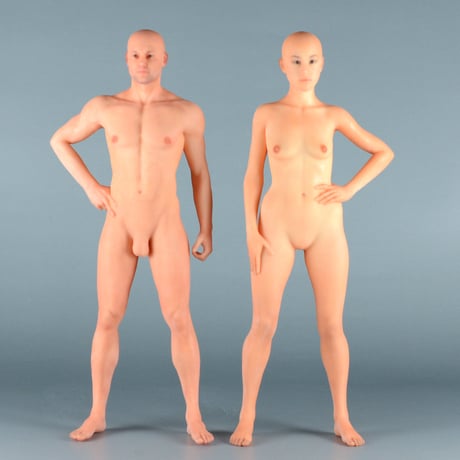 【9" 】立ちポーズ　全裸人体模型　22.9 cm