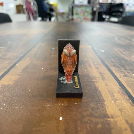 恐竜_カルノタウルスの頭_図鑑画家加藤愛一様作品