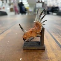 恐竜_スティラコサウルスの頭_図鑑画家加藤愛一様作品