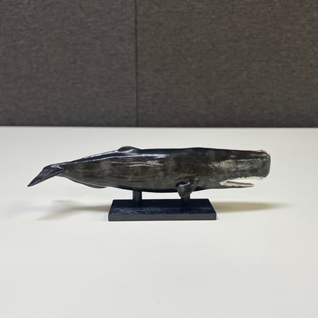恐竜_マッコウクジラ_図鑑画家加藤愛一様作品