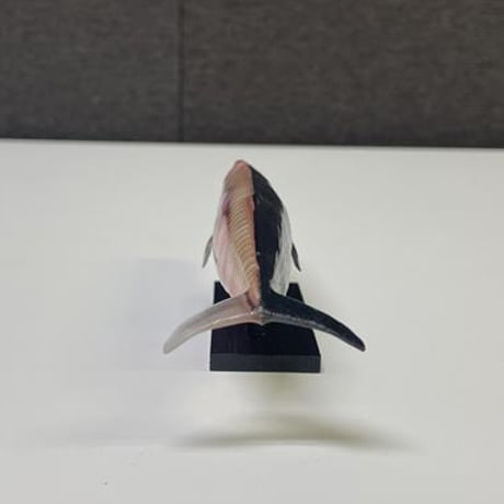 恐竜_マッコウクジラ_図鑑画家加藤愛一様作品