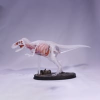 恐竜_ティラノサウルス透明模型_図鑑画家加藤愛一様作品