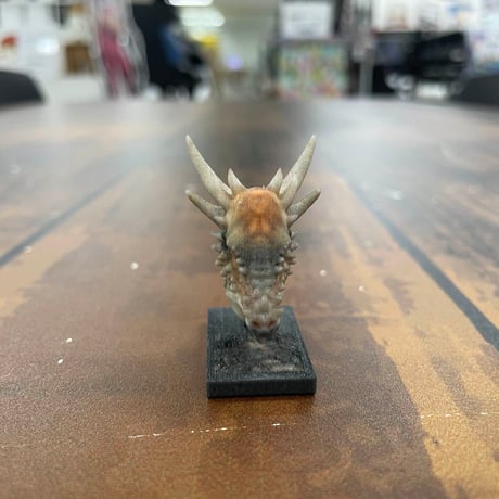 恐竜_スティギロモクの頭_図鑑画家加藤愛一様作品