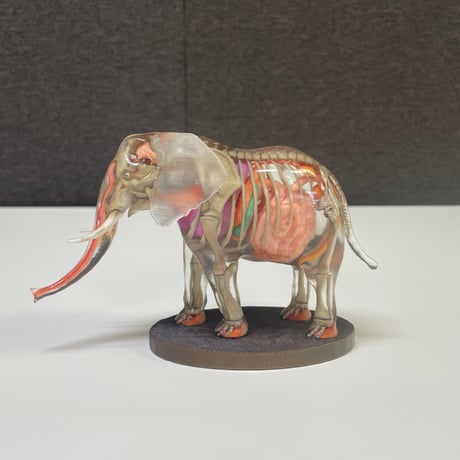 恐竜_象_図鑑画家加藤愛一様作品