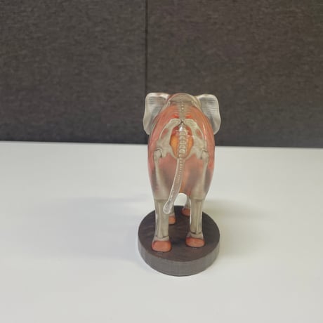 恐竜_象_図鑑画家加藤愛一様作品