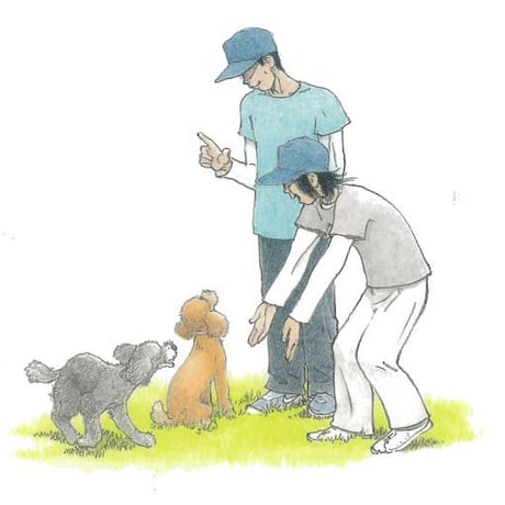 トイプードル警察犬 カリンとフーガ