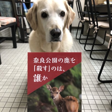 奈良公園の鹿を「殺す」のは、誰か