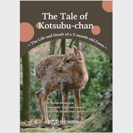 こつぶちゃん物語　英訳版