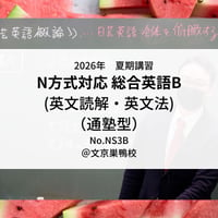 【2026年夏期講習】日大N方式対応 総合英語B(英文読解・英文法)（通塾型）