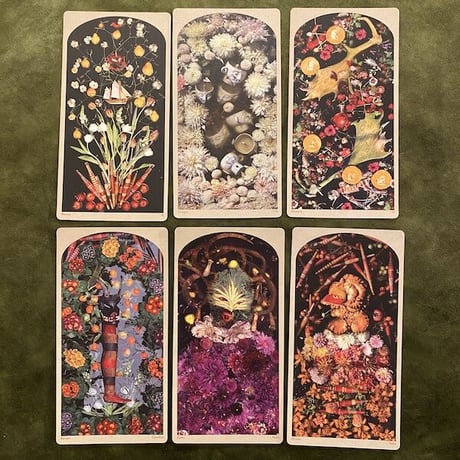 TAROT of the DROWNING WORLD（溺れる世界のタロット）