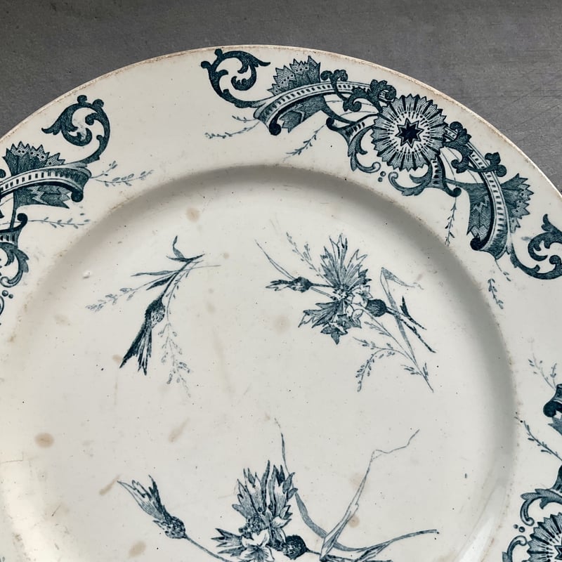 1900年代 フランス製 Creil et Montereau/CENTAUREE(A) |