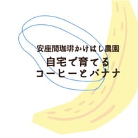 【送料込み】自宅で育てる「コーヒーとバナナ」苗セット
