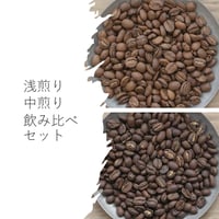 【送料込み】月の前半におすすめ〜浅煎り/中煎り飲み比べ〜