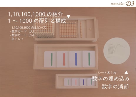 monte select D3　算数って具体物を使うとこんなに面白い！