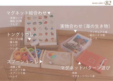 monte select B2　もっと手指をたくさん動かしたい！