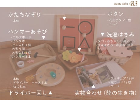 monte select B3　もっと手指をたくさん動かしたい！