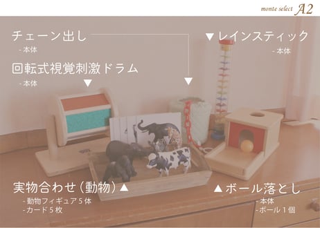 monte select A2　はじめてのおうちモンテ