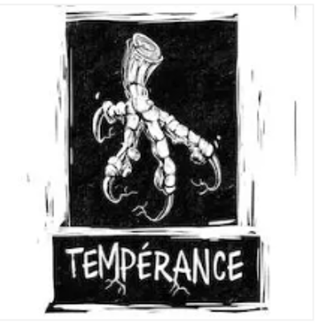 Box 3 bières: bulbul インポートビール  Tempérance ３本セット