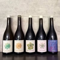 7月発送：Box 3 vins: bulbul インポートワイン ３本セット ～ Manuel Girard ＆ Les Vins Vrais (Eric Durif) ～