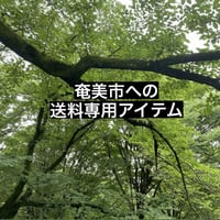 奄美市への送料専用アイテム