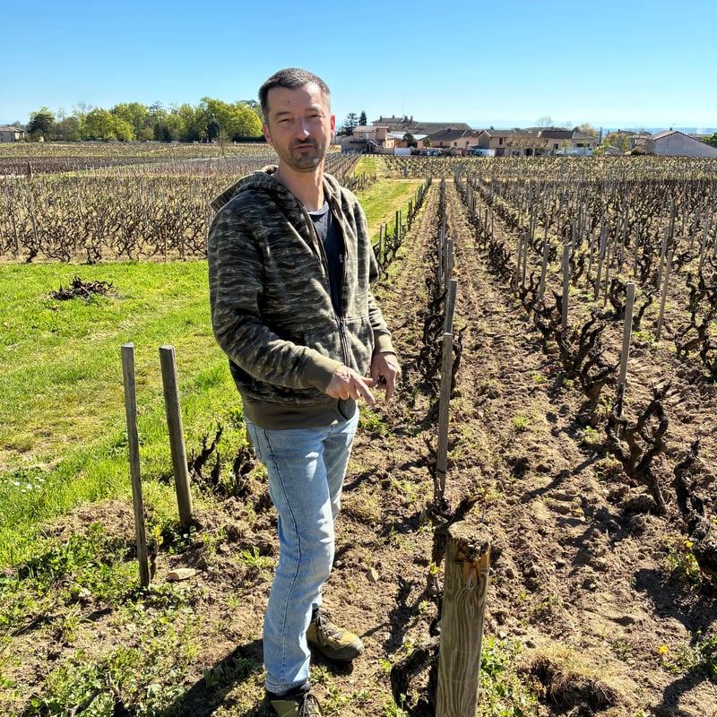 7月発送：Box 3 vins: bulbul インポートワイン 3本セット ～ Manuel