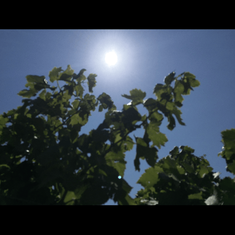 無償視聴チケット: Apéro avec Anthony de Matin Calme ～現地のアントニーと、アペロを～  (06/26 Sat 19:00-)