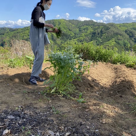 foodremedies 長田佳子さん・ワインに合う焼き菓子＆ ワイン 2本セット