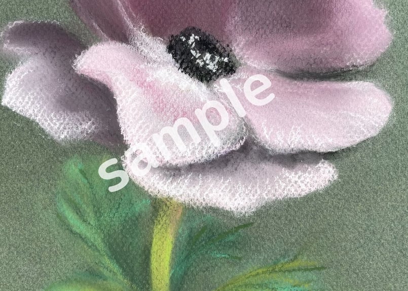 絵の大きさそのまま縦長サイズ（1280×1920)px『アネモネ一輪』 | KINO