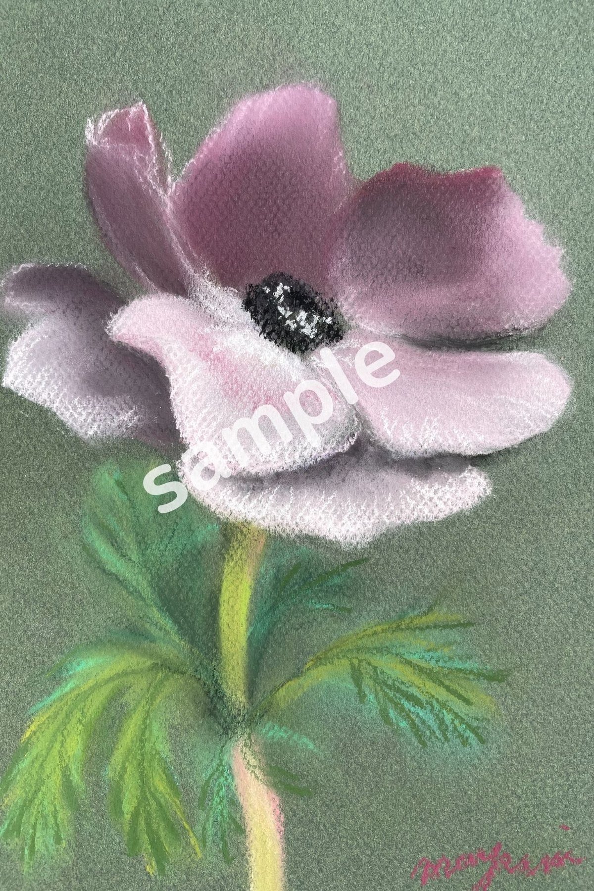 絵の大きさそのまま縦長サイズ（1280×1920)px『アネモネ一輪』 | KINO