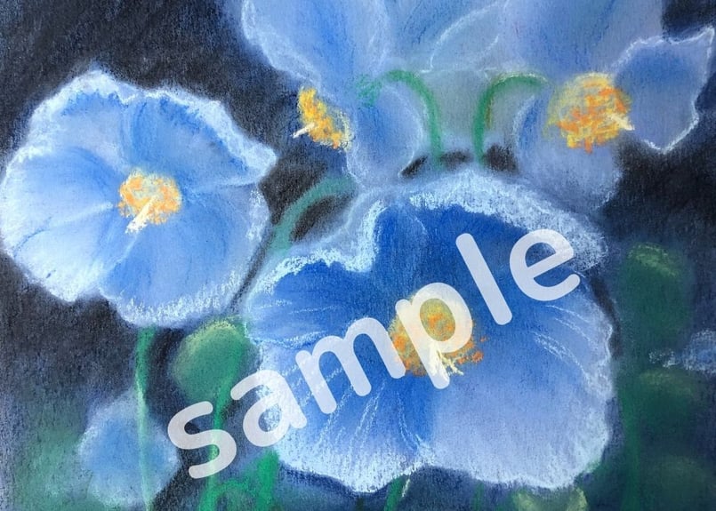 スマホの待ち受け画面に使える手描きパステル『ケシの花ブルー