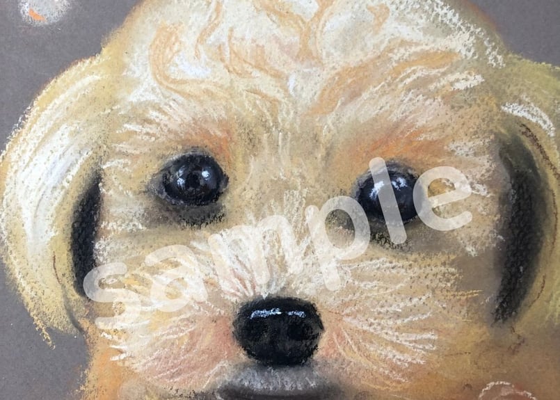 スマホの待ち受け画面に使える手描きパステル『もふもふ毛の犬