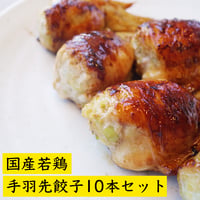 餃子専門店が作った手羽先餃子10本入り