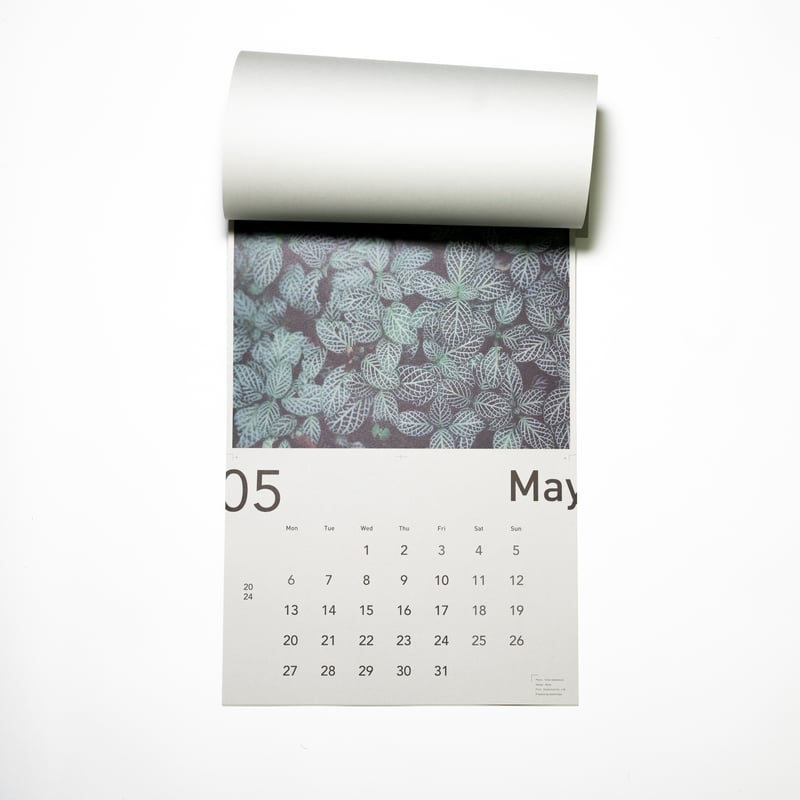 Yohei Sawamura 2024カレンダー | THE Buddy WEB STORE