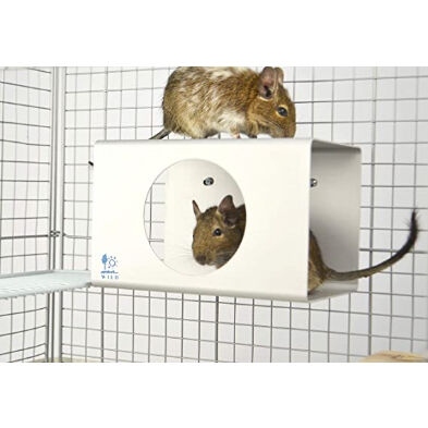 SANKO 涼感キューブL | mou Online Shop