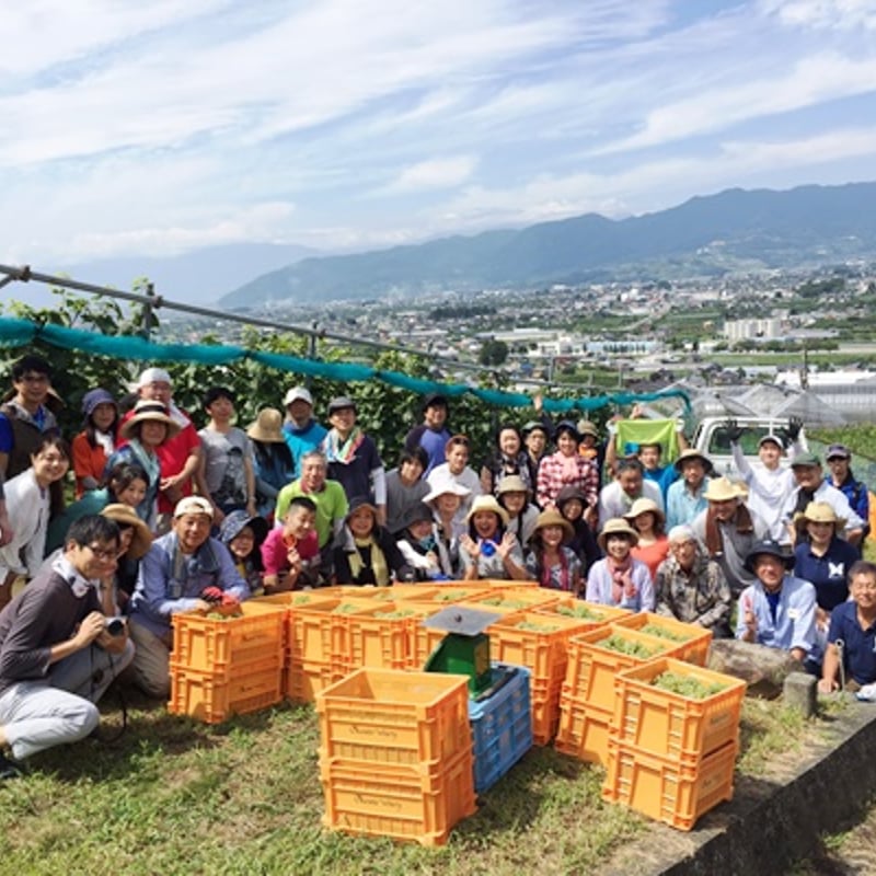 2021セレンディピティ シャルドネオランジェ | Okunota Winery Online