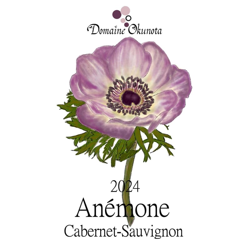 アネモネ アネモネ atmos adidas ZX ALKYNE Release Info | SneakerNews.com