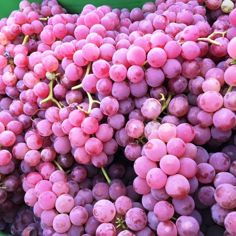 2024夏色ドルチェ（夏季限定） | Okunota Winery Online Shop