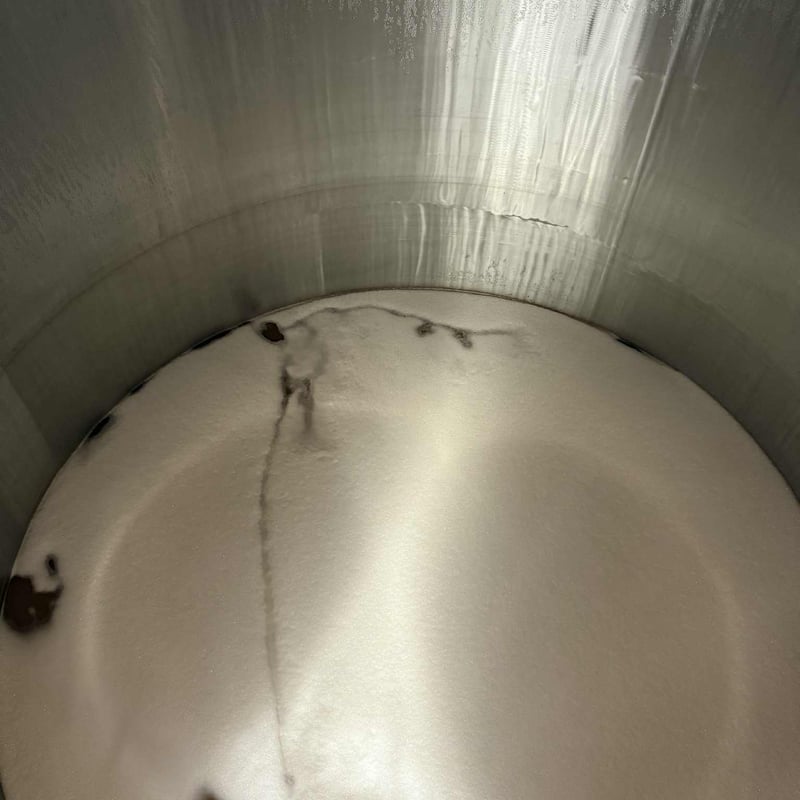 葡萄の枝様 リクエスト 2点 まとめ商品 葡萄の枝様 リクエスト 2点 まとめ商品 葡萄の枝様 リクエスト 2