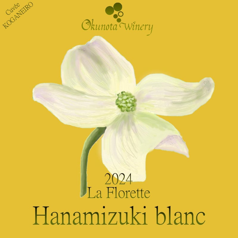 2024ハナミズキ・ブラン | Okunota Winery Online Shop