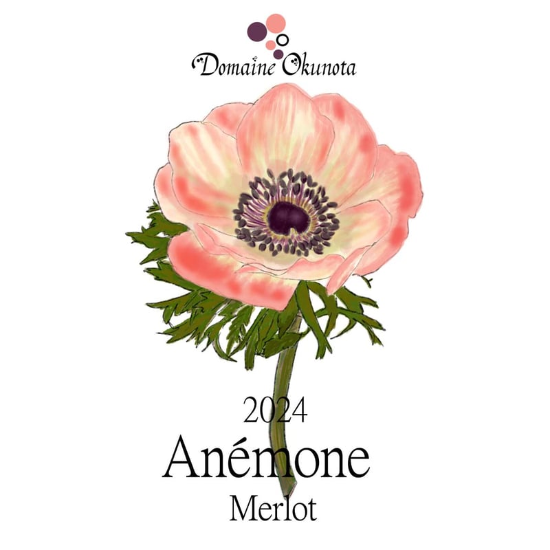 anemone 復刻版 ソマチッド 2024アネモネ メルロ | Okunota Winery Online Shop