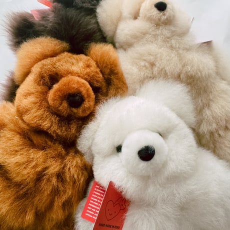 【20cm】Baby Alpaca Teddy Bear- Chocolate / MUNAYQ
