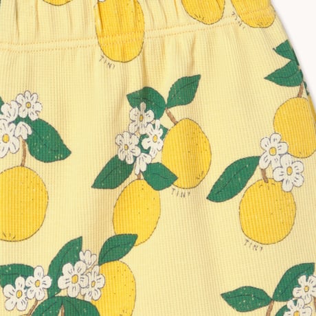即納【Kids★2y, 3y, 4y, 6y, 8y, 10y】Oranges Rib Short / TINYCOTTONS