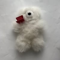 【20cm】Baby Alpaca Teddy Bear- White / MUNAYQ